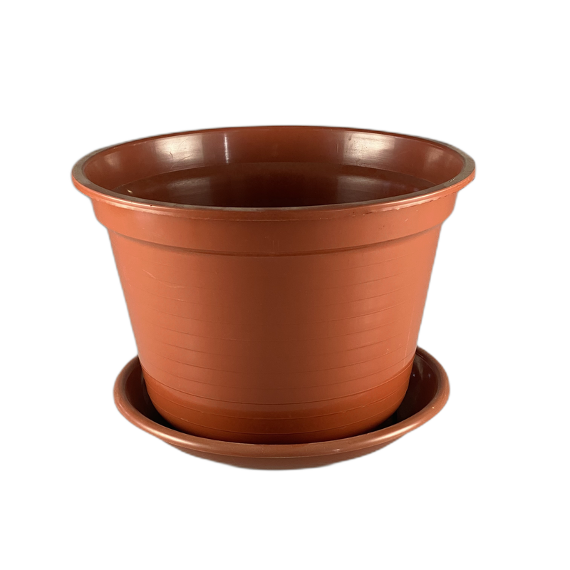 Vaso de plastico - 804608
